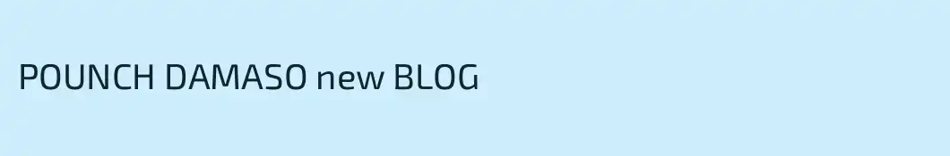 POUNCH DAMASO new BLOG